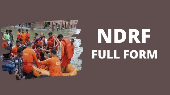 NDRF Hindi