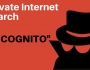 Incognito Browser