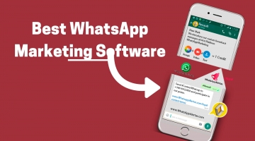 best whatsapp marketing software