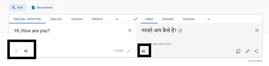 Google Voice translate