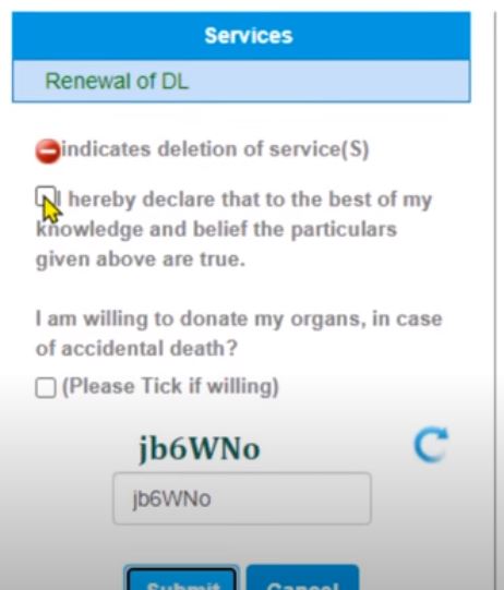 final submit