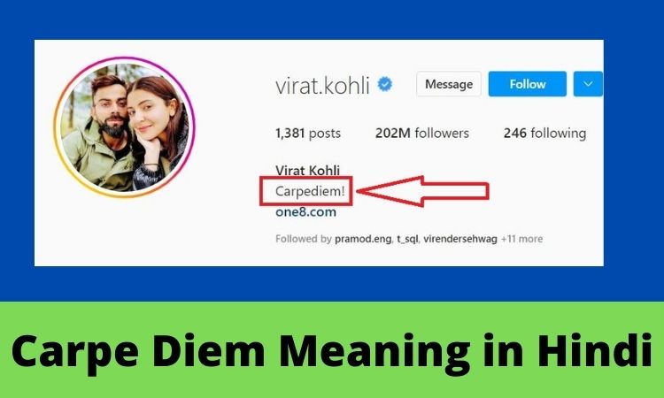 Carpe Diem Meaning in Hindi