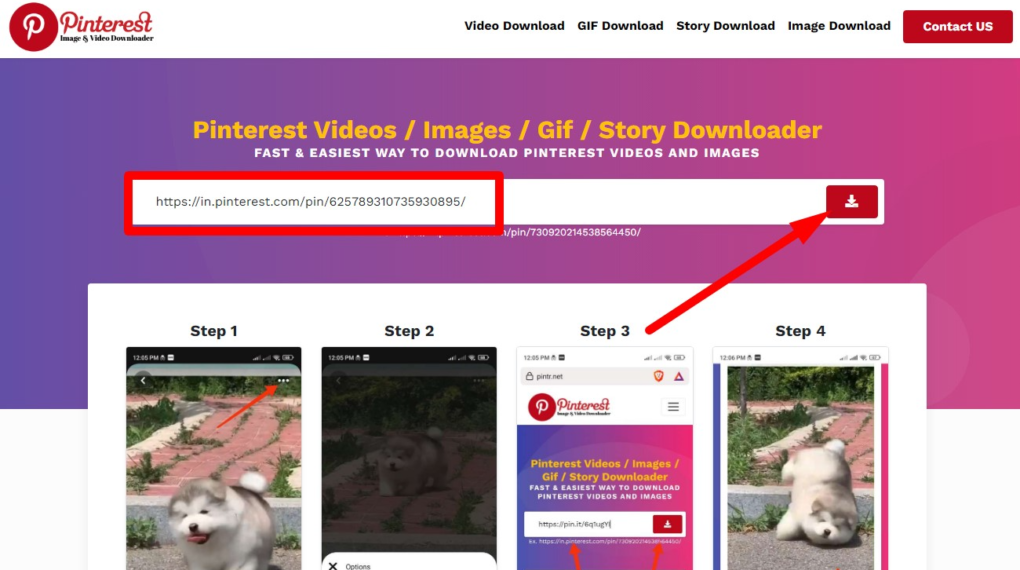Paste Pinterest Video link and click on download icon